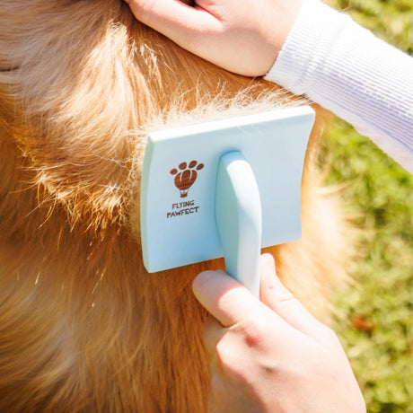 Professional Curved Slicker Brush for Long Haired Pets | Tools | pethousekh