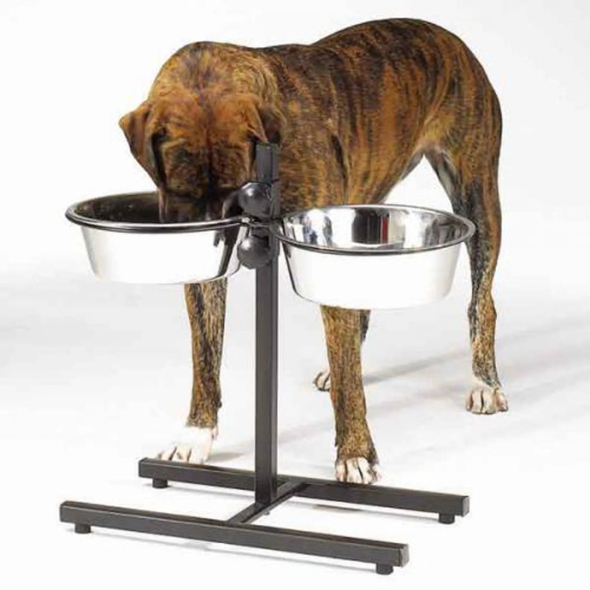 ProSelect Adjustable Diner with/Bowls 160oz | Food & Water Bowls | pethousekh