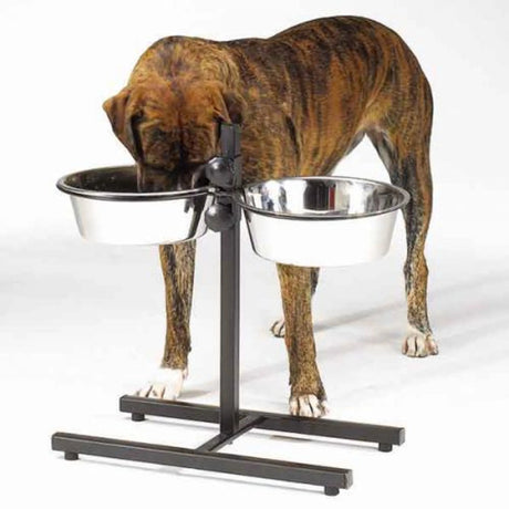 ProSelect Adjustable Diner with/Bowls 160oz | Food & Water Bowls | pethousekh