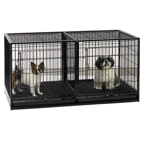 PS Modular Cage w/Plastic Tray | ProCages & Kennels | pethousekh