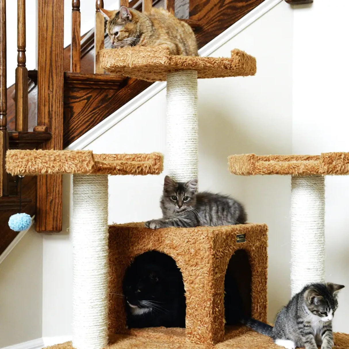 Real Wood 74" Multi - Level Cat Tree Large Cat Play Furniture | Scratchers | pethousekh