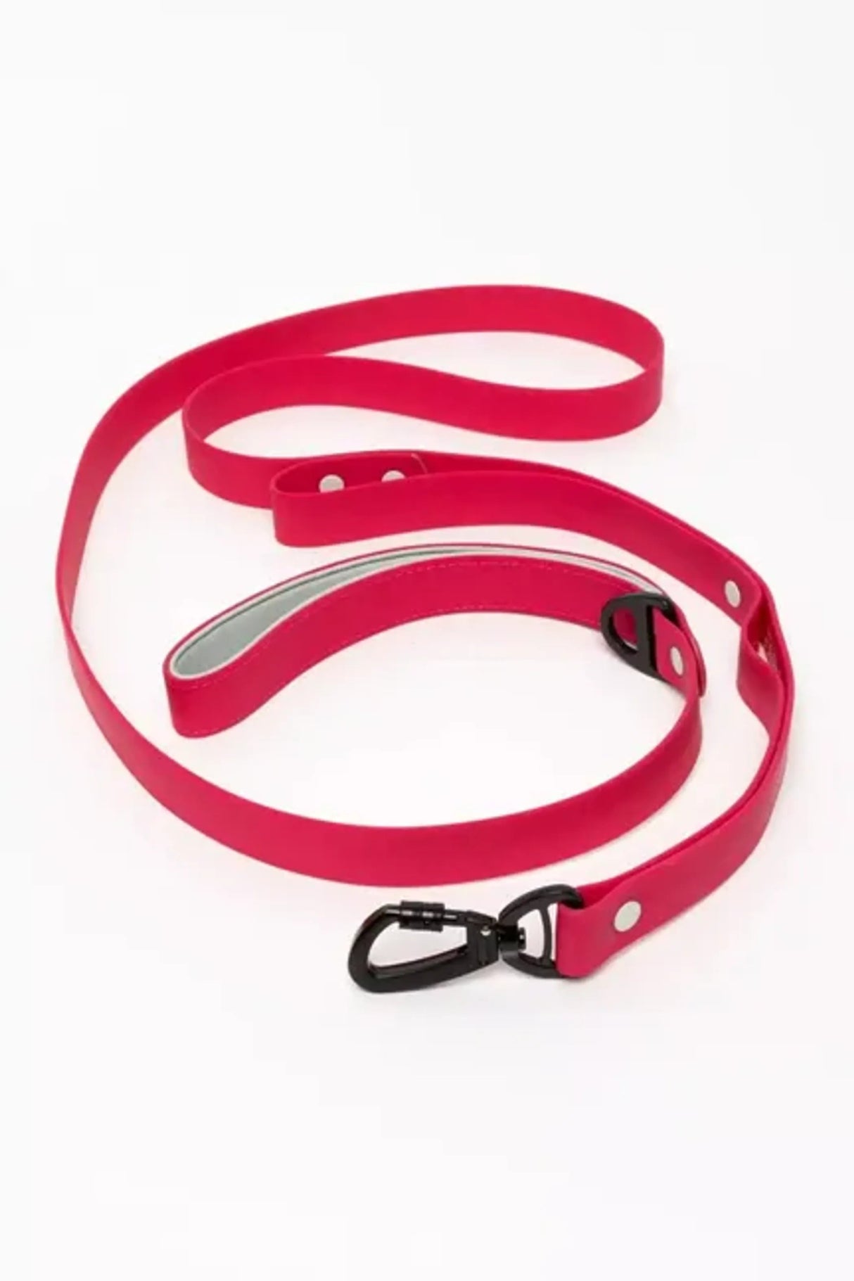 Red Mountain Syrah Waterproof Dog Leash | Dog Leashes | pethousekh