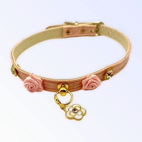 Romantic Day Collar | Dog Collars | pethousekh