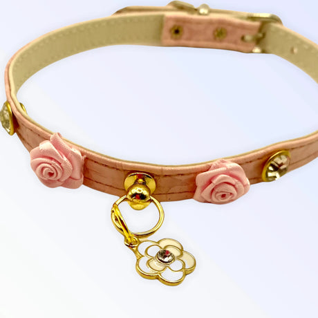 Romantic Day Collar | Dog Collars | pethousekh