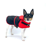 "Ruby Red" - DCNY Equestrian Collection | Dog Clothes | pethousekh