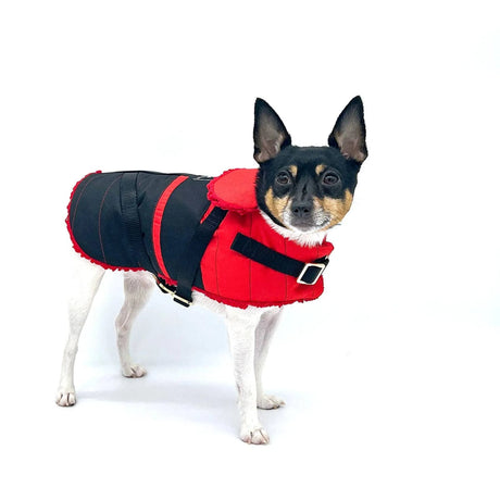 "Ruby Red" - DCNY Equestrian Collection | Dog Clothes | pethousekh