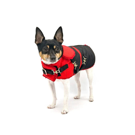 "Ruby Red" - DCNY Equestrian Collection | Dog Clothes | pethousekh