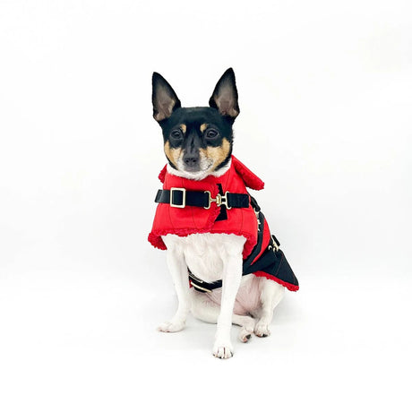 "Ruby Red" - DCNY Equestrian Collection | Dog Clothes | pethousekh
