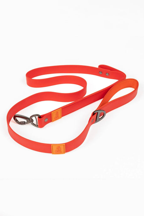 Scarlet Peaks Waterproof Leash | Dog Leashes | pethousekh