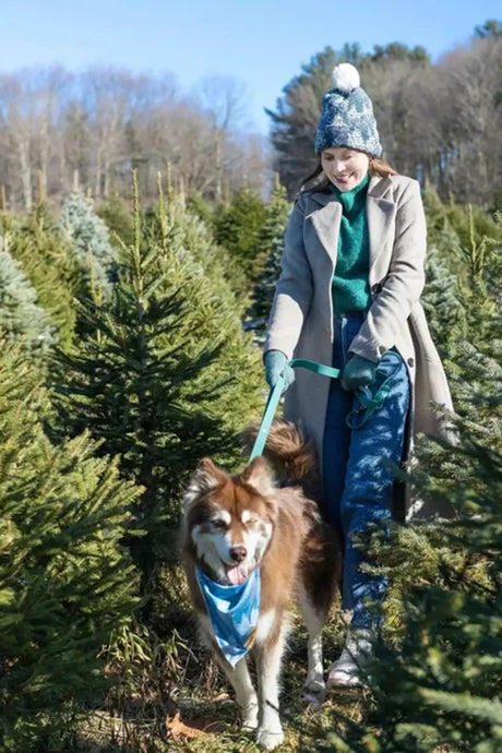 Siberian Spruce Waterproof Dog Leash With Padded Handle | Dog Leashes | pethousekh