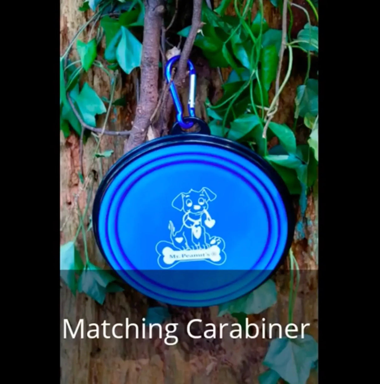 Single Blue Silicone Collapsible Travel Bowl | Food & Water Bowls | pethousekh