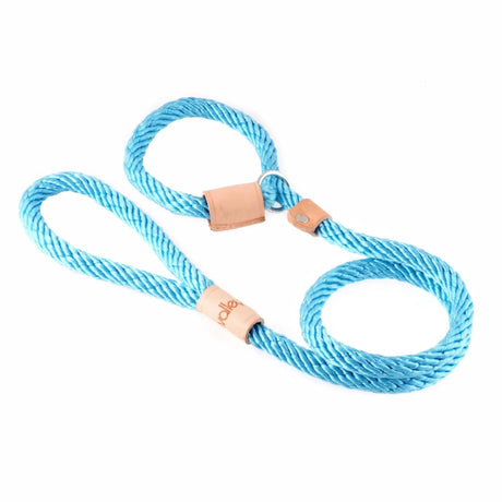 Sport Slip Lead With Stopper (4 ft x 5/16in or 8mm) | Dog Leashes | pethousekh