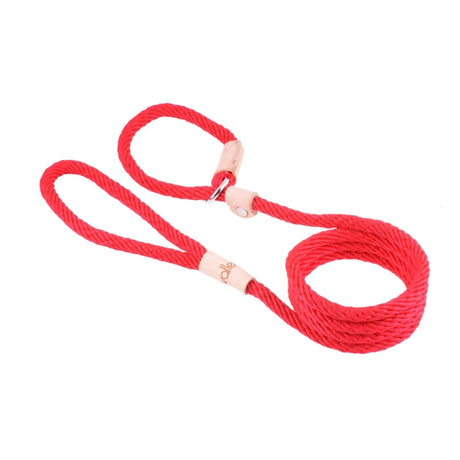 Sport Slip Lead With Stopper (4 ft x 5/16in or 8mm) | Dog Leashes | pethousekh