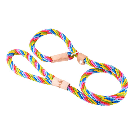 Sport Slip Lead With Stopper (4 ft x 5/16in or 8mm) | Dog Leashes | pethousekh