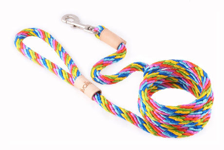 Sport Snap Lead (6 ft x 1/2in or 13mm) | Dog Leashes | pethousekh