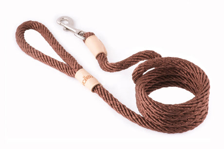 Sport Snap Lead (6 ft x 1/2in or 13mm) | Dog Leashes | pethousekh
