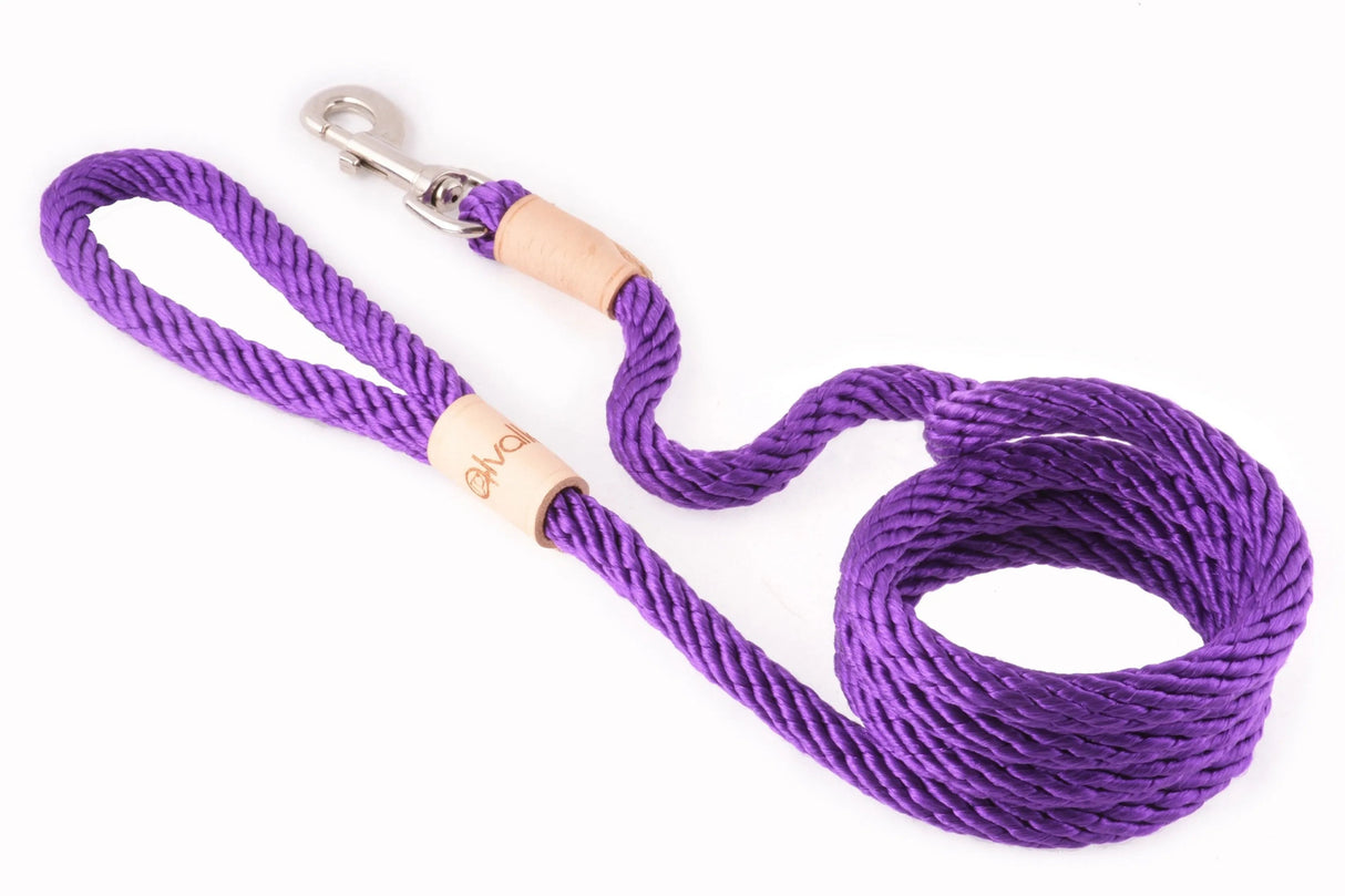 Sport Snap Lead (6 ft x 1/2in or 13mm) | Dog Leashes | pethousekh
