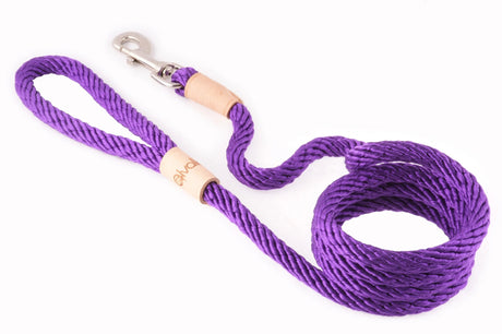 Sport Snap Lead (6 ft x 1/2in or 13mm) | Dog Leashes | pethousekh