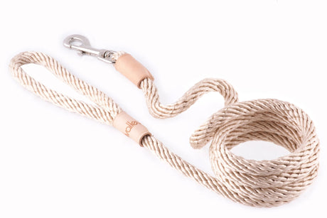 Sport Snap Lead (6 ft x 1/2in or 13mm) | Dog Leashes | pethousekh