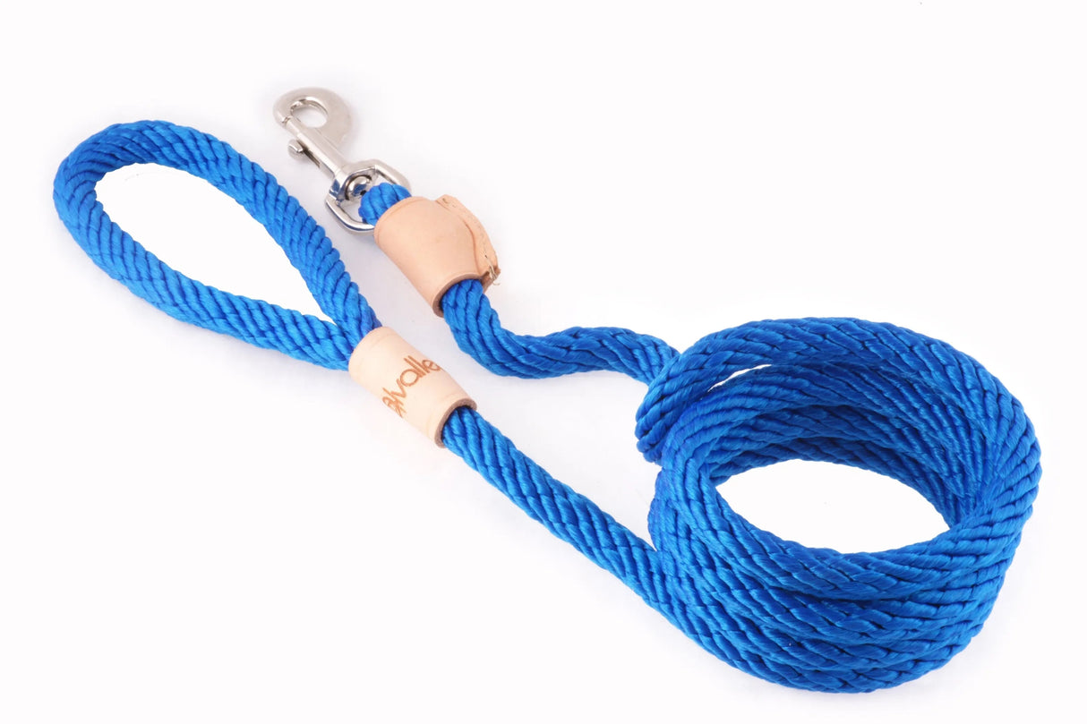 Sport Snap Lead (6 ft x 1/2in or 13mm) | Dog Leashes | pethousekh