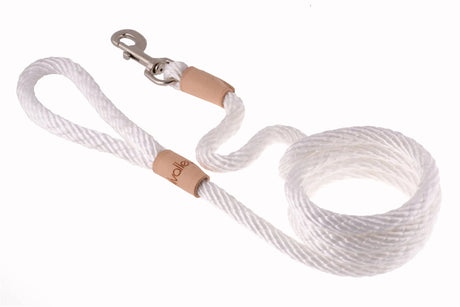 Sport Snap Lead (6 ft x 1/2in or 13mm) | Dog Leashes | pethousekh