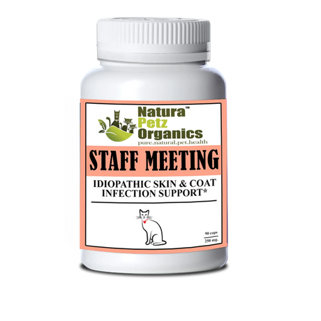 Staff Meeting* Idiopathic Skin & Coat Infection* Support For Dogs And Cats* | Animal Vitamins & Supplements | pethousekh