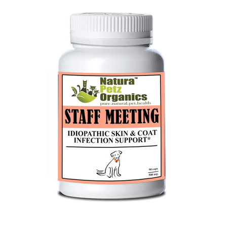 Staff Meeting* Idiopathic Skin & Coat Infection* Support For Dogs And Cats* | Animal Vitamins & Supplements | pethousekh