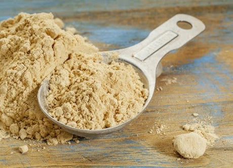 Tarwi - Antioxidant Complete Protein* - Digestive Cardiovascular & Pancreatic Support* The Petz Kitchen | Animal Vitamins & Supplements | pethousekh