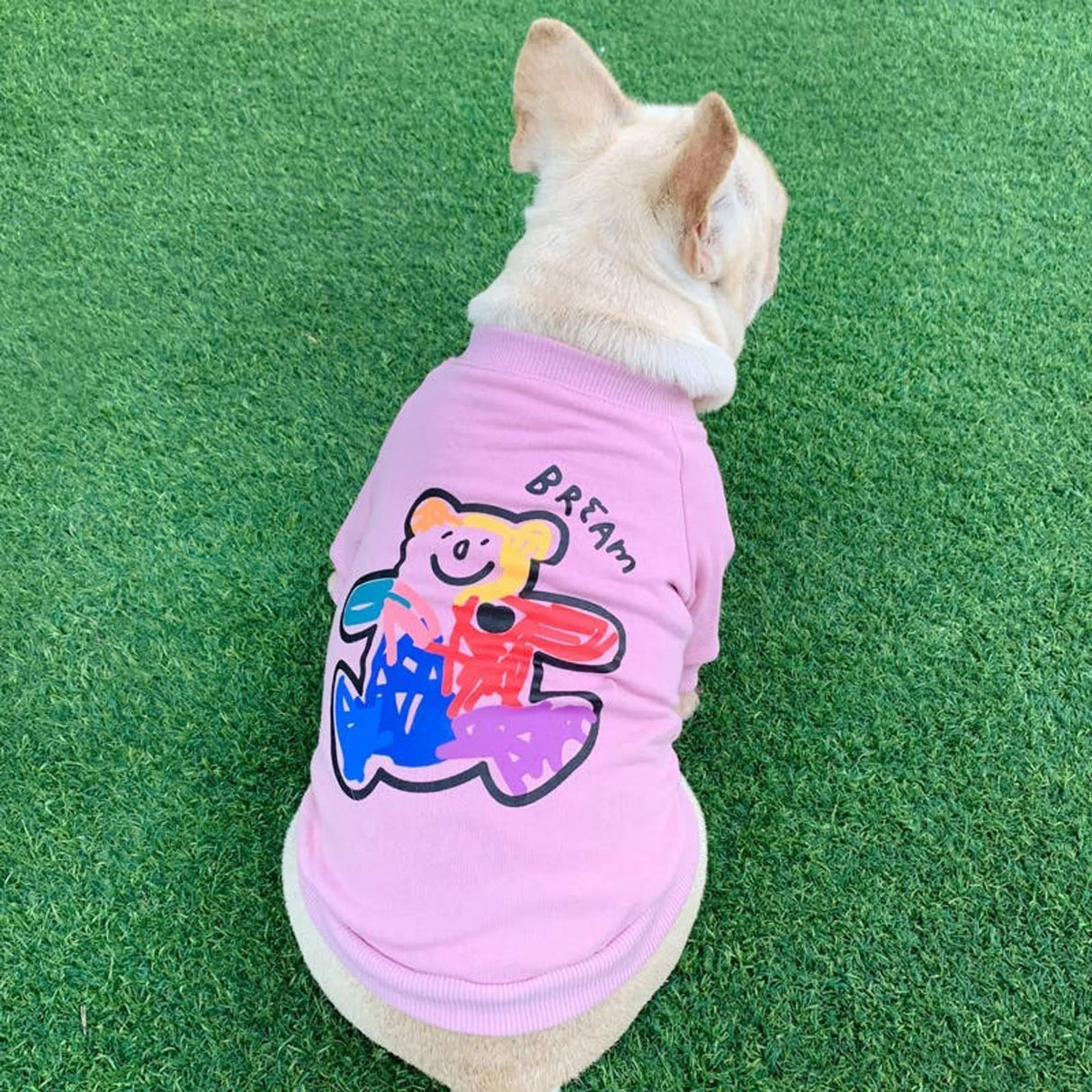 Teddy Bear - Matching Pet and Owner Clothing Set | Apparel | pethousekh