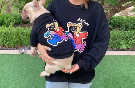 Teddy Bear - Matching Pet and Owner Clothing Set | Apparel | pethousekh