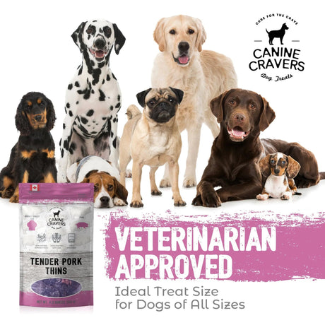 Tender Pork Thins | Dog Treats | pethousekh