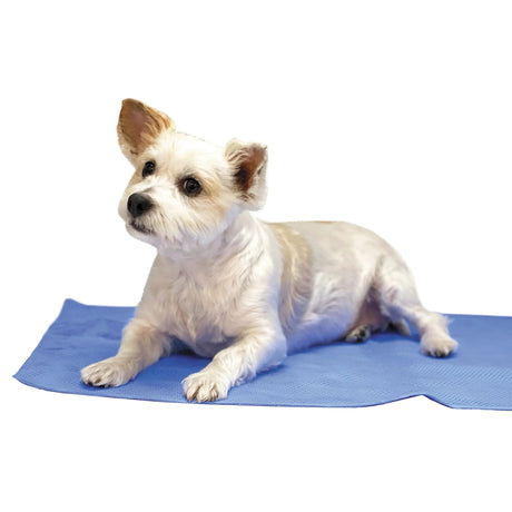 TP Drying and Cooling Towel Blue | Tubs | pethousekh
