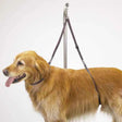 TP Nylon Table Harness 27In | Tables | pethousekh