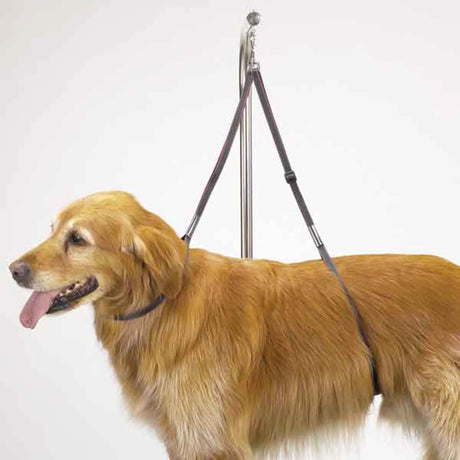 TP Nylon Table Harness 27In | Tables | pethousekh