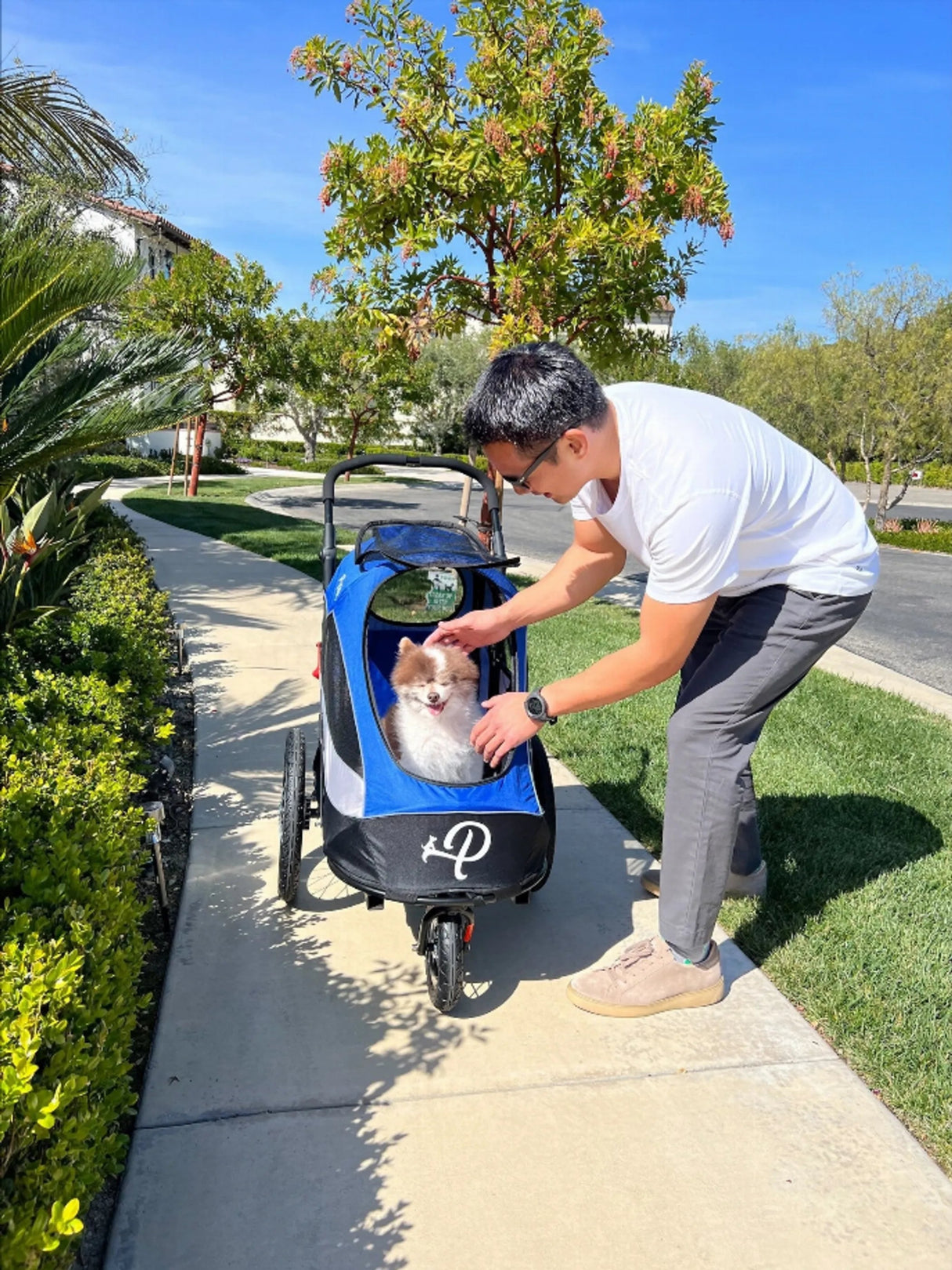 Trailblazer Pet Jogger | Pet Strollers | pethousekh