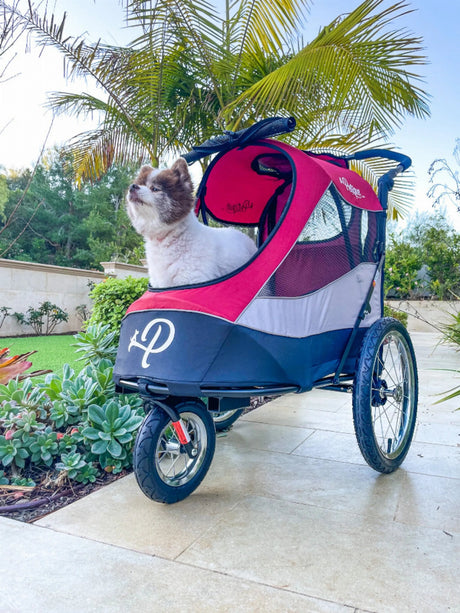 Trailblazer Pet Jogger | Pet Strollers | pethousekh