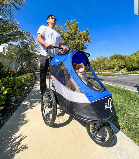 Trailblazer Pet Jogger | Pet Strollers | pethousekh
