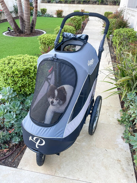 Trailblazer Pet Jogger | Pet Strollers | pethousekh