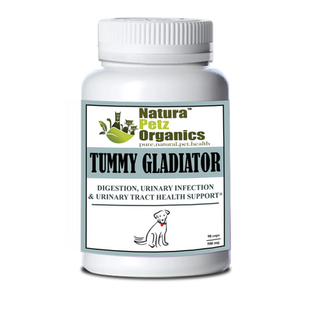 Tummy Gladiator - Digestion, Adjunctive Reflux & Urinary Tract Support* | Animal Vitamins & Supplements | pethousekh
