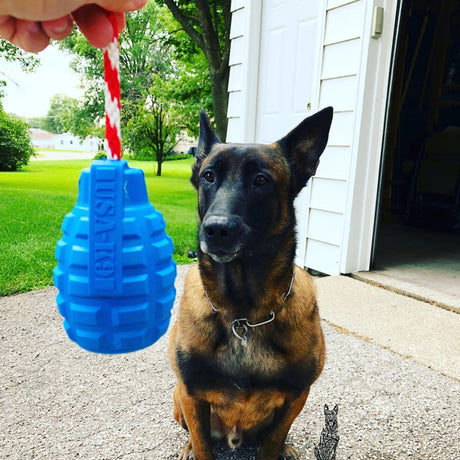 USA - K9 Grenade Durable Rubber Dog Chew Toy With Rope | Dog Toys | pethousekh