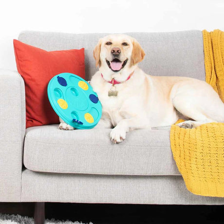 ZippyPaws Smarty Paws Puzzler | Interactive Toys | pethousekh